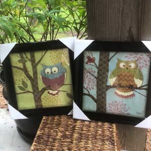 OWL Framed pictures